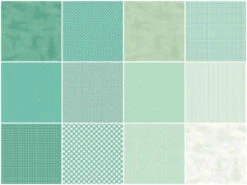 Handpicked Produce Bright Basics Mint Julep Rolie Polie 24 Pcs. -Clover Store 17ba7813 4c67 3820 95f7 781fcffa8559 06637673 7d66 4ac0 9ced fc3dd8e8d402