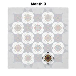 MoonRising Block Of The Month -Clover Store 5ec89e1d 722a 3f0d 836e 2114e7106f00 94ed24b0 aeb1 4d65 98c0 95c78d670b6b