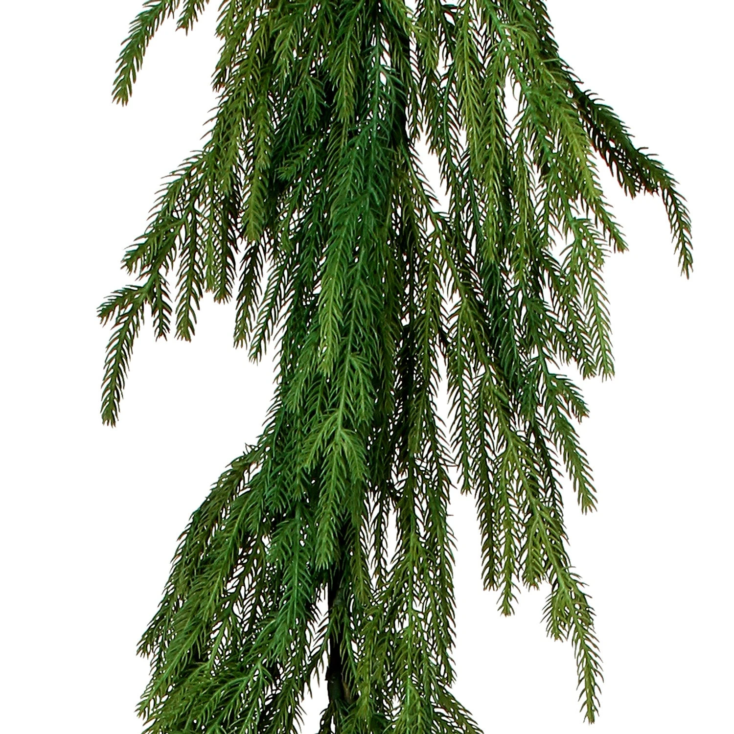 Natural Touch Norfolk Pine Garland - 60" 6 Natural Touch Norfolk Pine Garland - 60" - Image 4