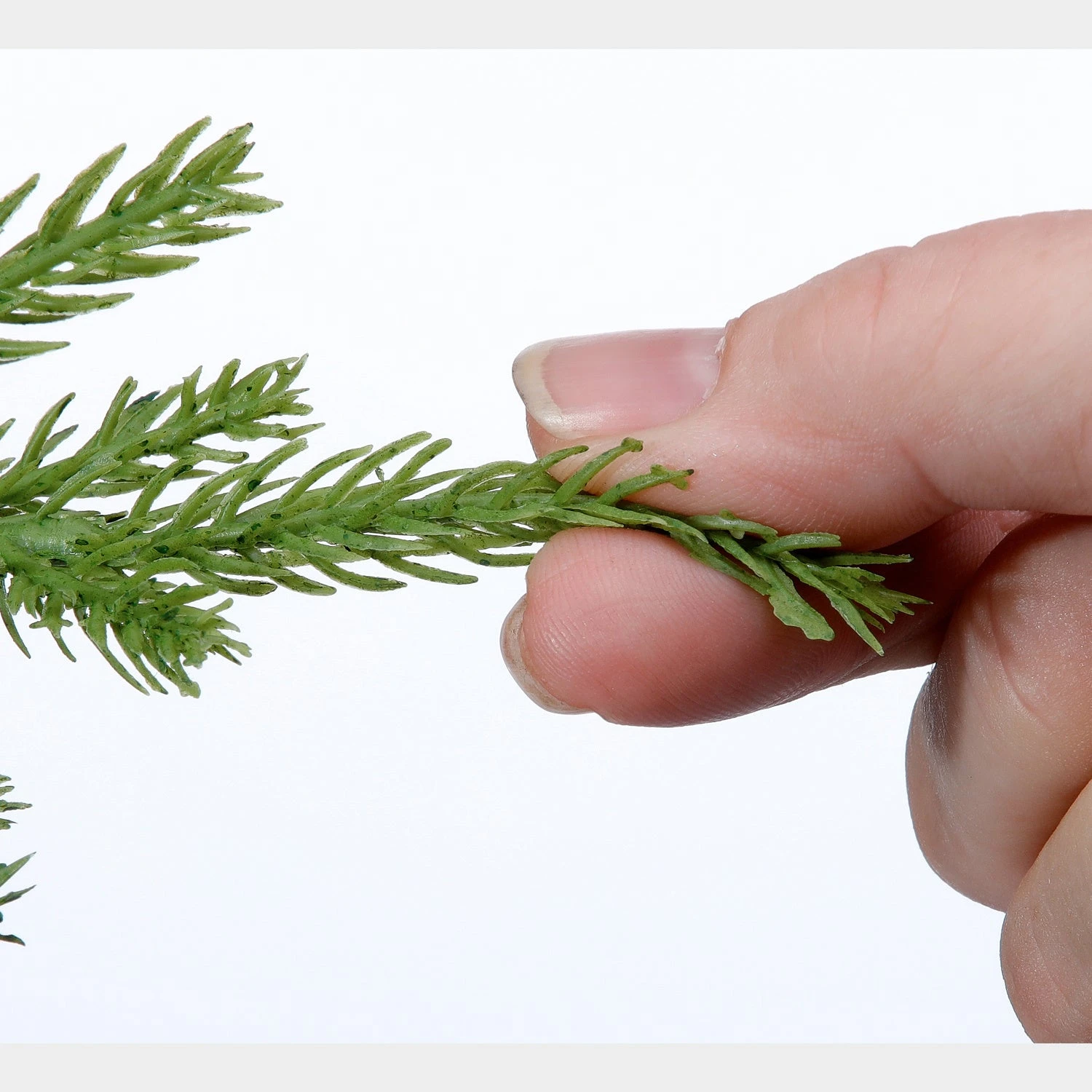 Natural Touch Norfolk Pine Garland - 60" 5 Natural Touch Norfolk Pine Garland - 60" - Image 3