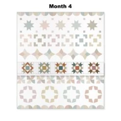 Missouri Star Summer Strolls Triple Play Block Of The Month -Clover Store de011d99 1780 3de0 b673 0abc1d76fbae