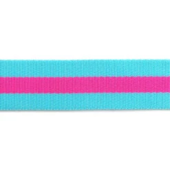 Tula Pink 1 1/2" Webbing - Blue Aqua And Hot Pink